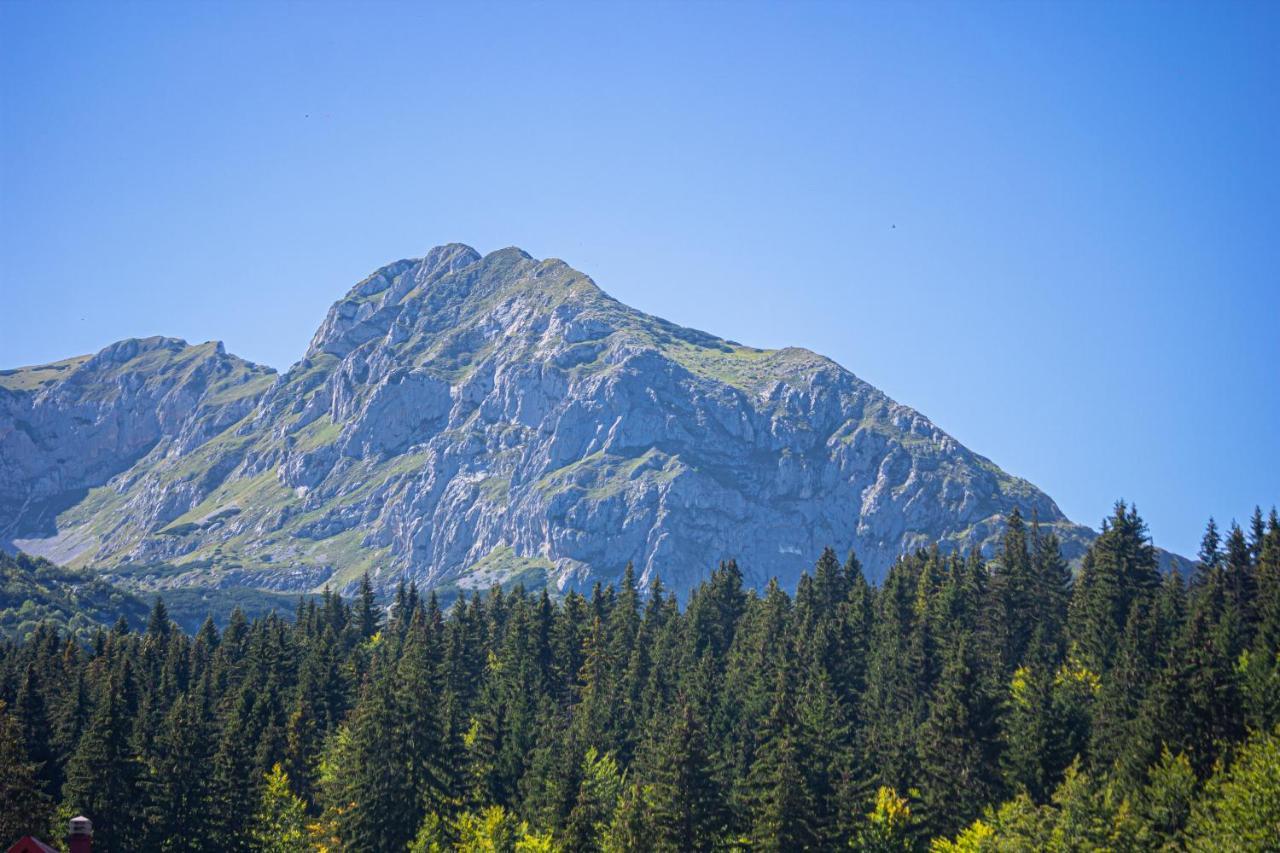 Holiday Home Lisica Žabljak Zewnętrze zdjęcie