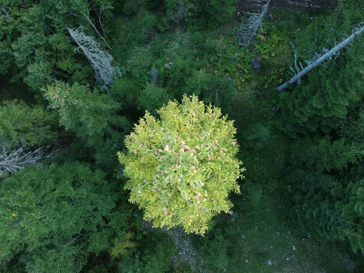 Holiday Home Lisica Žabljak Zewnętrze zdjęcie